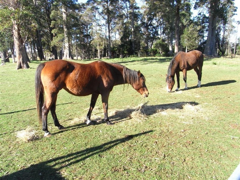 121 Cullens Road, South Preston TAS 7315