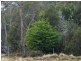 Lot 2 Cradle Mountain Road, Moina TAS 7310