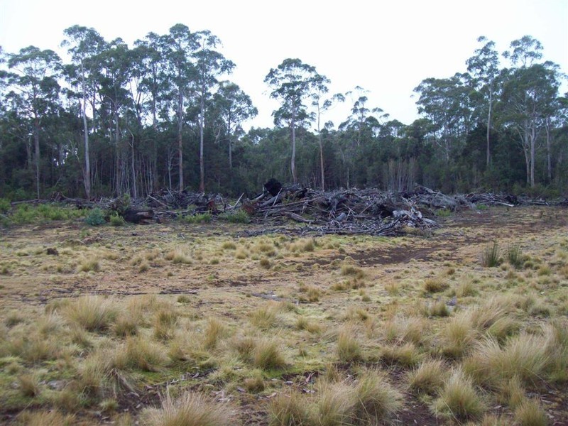 Lot 2 Cradle Mountain Road, Moina TAS 7310
