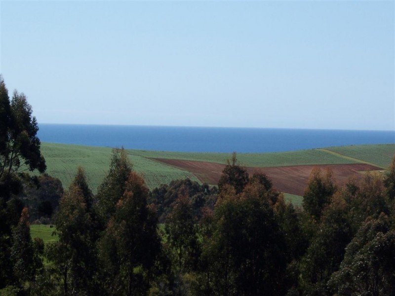 95a White Hills Road, Penguin TAS 7316
