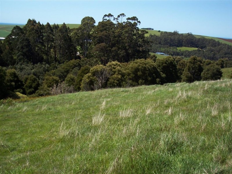 95a White Hills Road, Penguin TAS 7316
