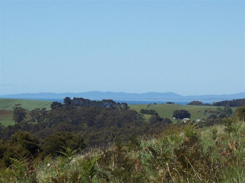 95a White Hills Road, Penguin TAS 7316