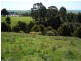 95a White Hills Road, Penguin TAS 7316