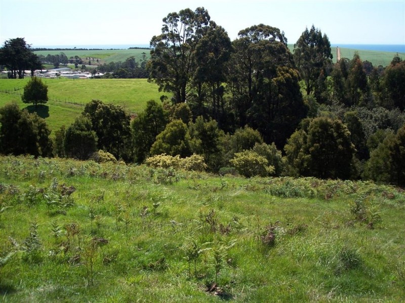 95a White Hills Road, Penguin TAS 7316