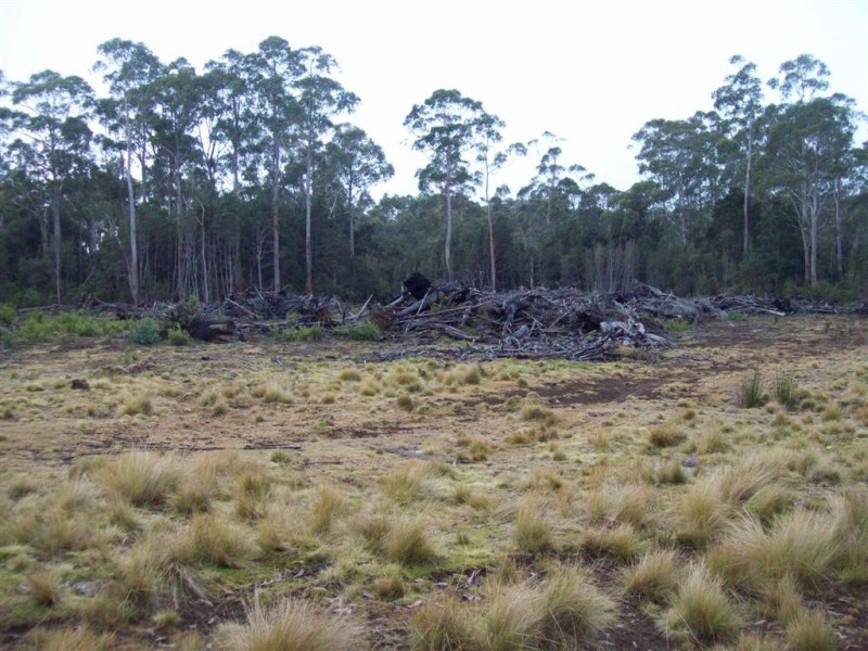 Lot 2 Cradle Mountain Road, Moina TAS 7310