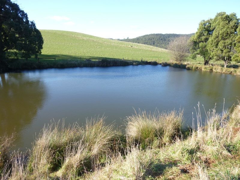 Wilmot Road, Forth TAS 7310