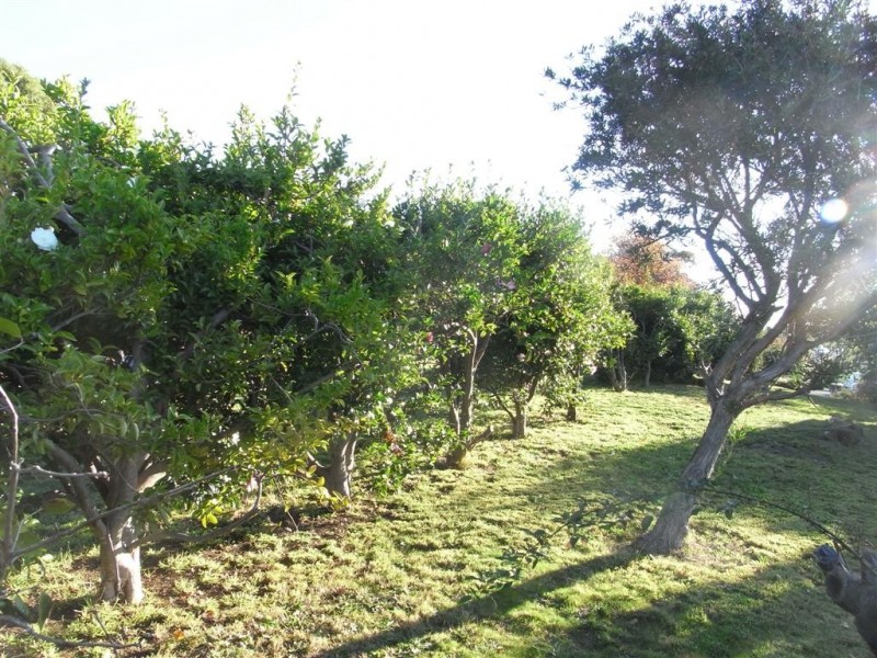 55 to 59 South Road, West Ulverstone TAS 7315