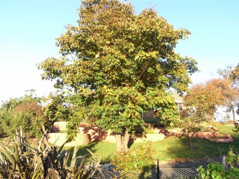 55 to 59 South Road, West Ulverstone TAS 7315