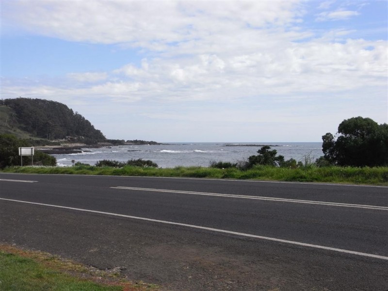 378 Preservation Drive, Sulphur Creek TAS 7316