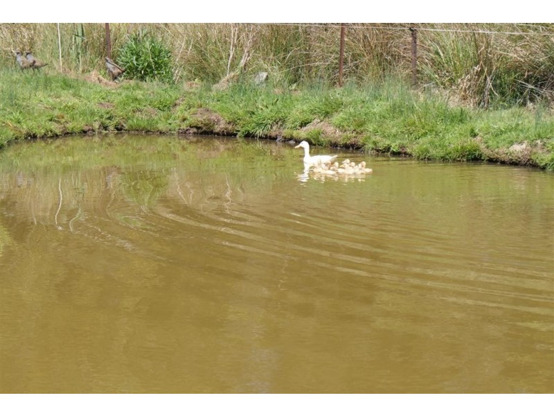 101 Castra Road, Ulverstone TAS 7315