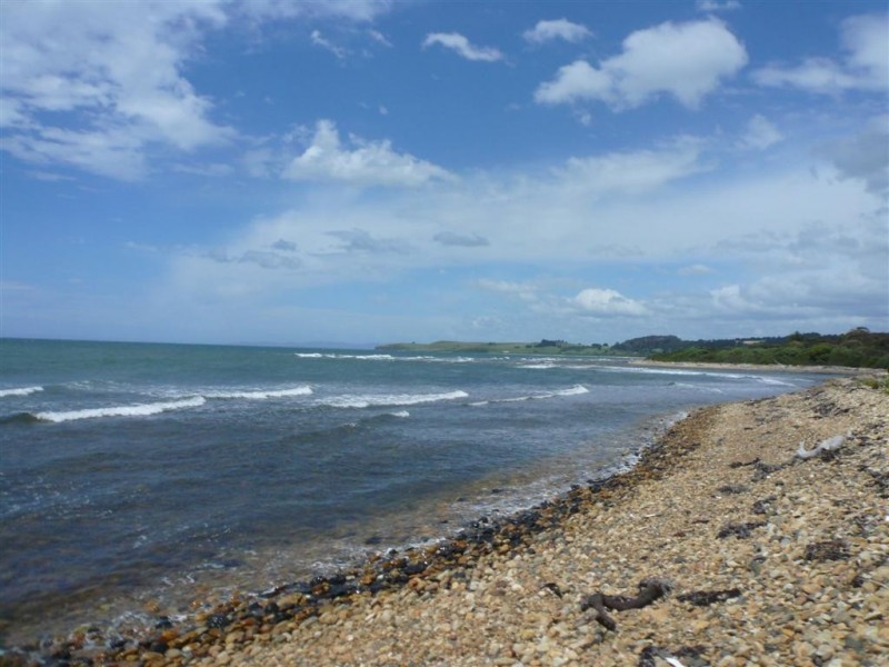 95 Beach Road, Leith TAS 7315