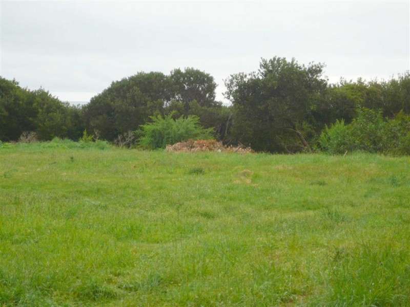 95 Beach Road, Leith TAS 7315