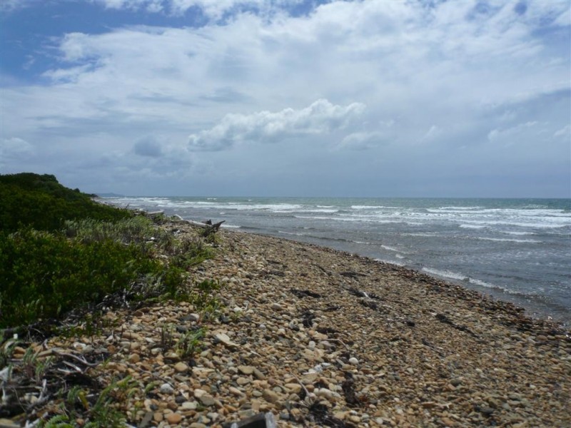 95 Beach Road, Leith TAS 7315