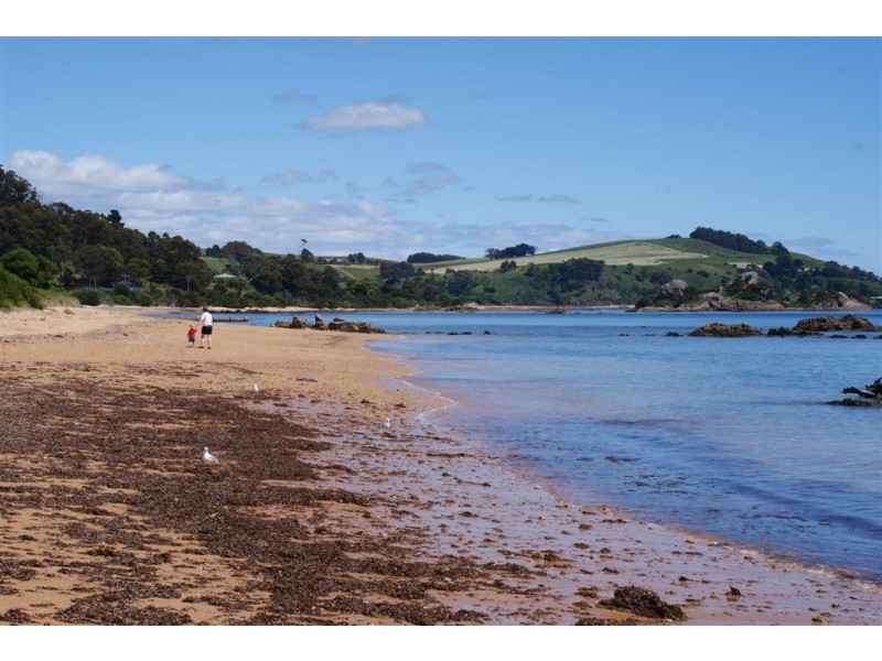 111 Penguin Road, Ulverstone TAS 7315