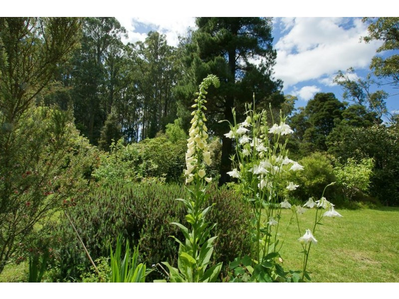 2 Knights Road, Ulverstone TAS 7315