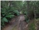 0 Gunns Plains Road, Gunns Plains TAS 7315