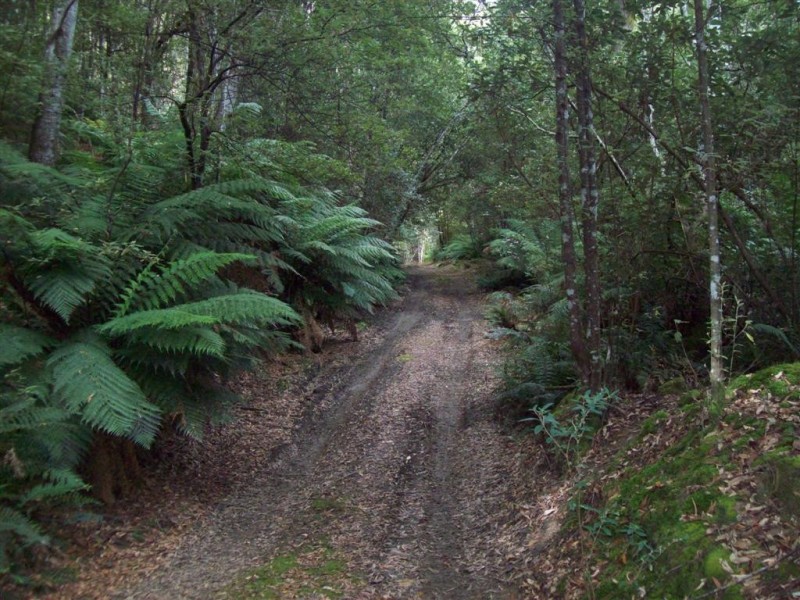 0 Gunns Plains Road, Gunns Plains TAS 7315