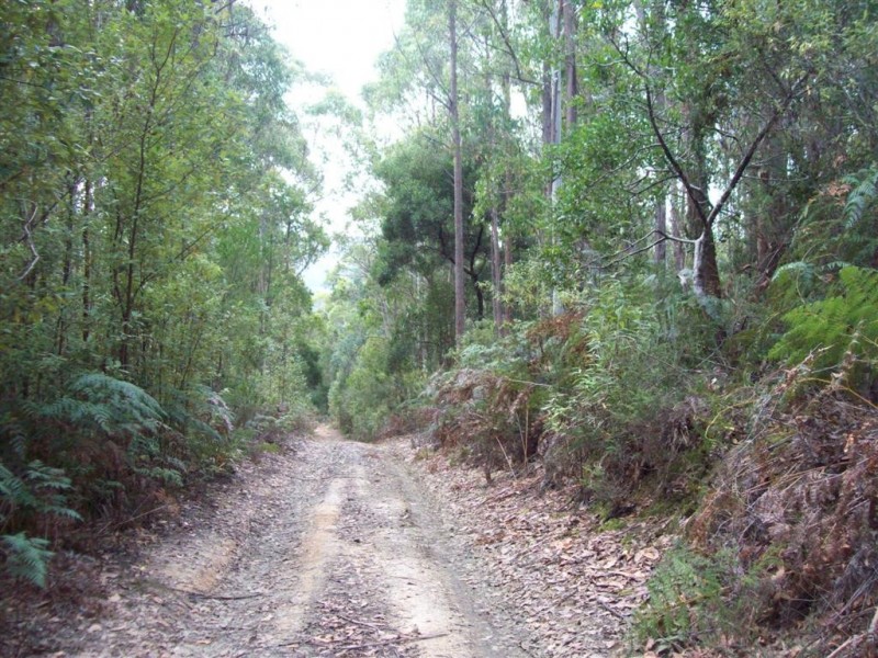 0 Gunns Plains Road, Gunns Plains TAS 7315