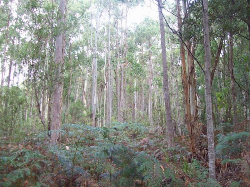 0 Gunns Plains Road, Gunns Plains TAS 7315