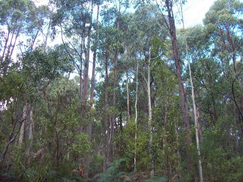 0 Gunns Plains Road, Gunns Plains TAS 7315