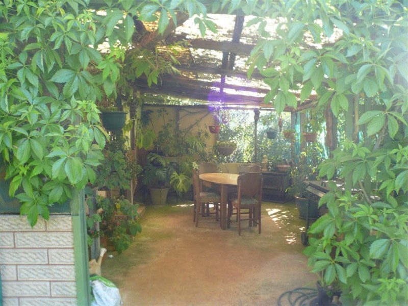 29 Swamp Road, Kindred TAS 7310