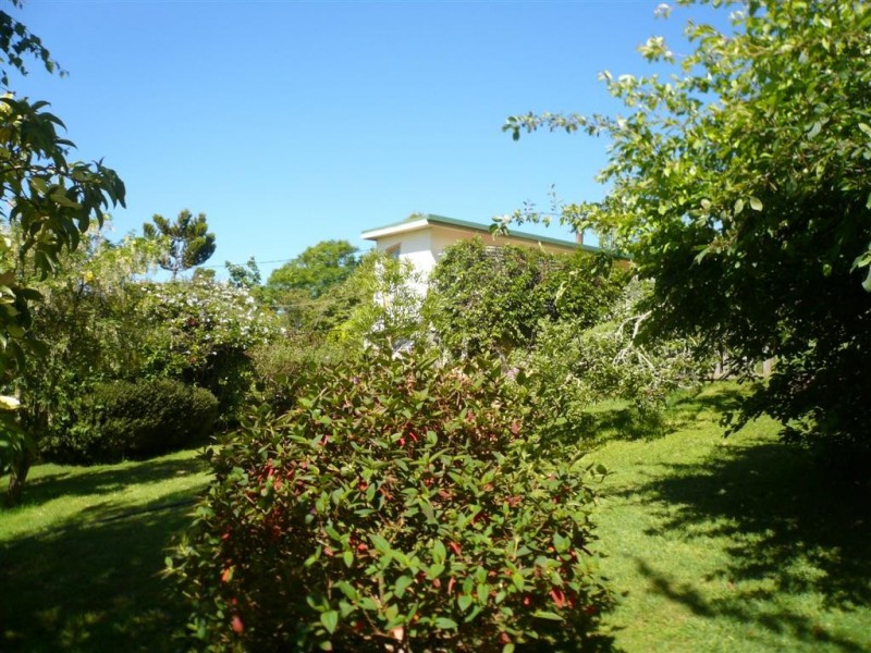 29 Swamp Road, Kindred TAS 7310