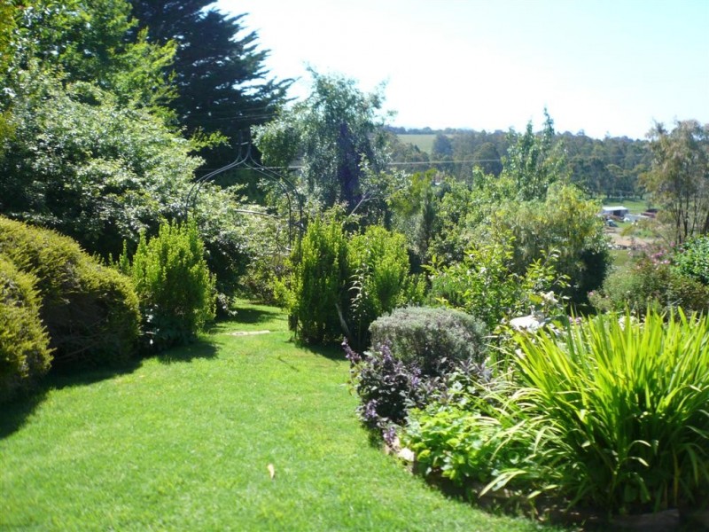 29 Swamp Road, Kindred TAS 7310