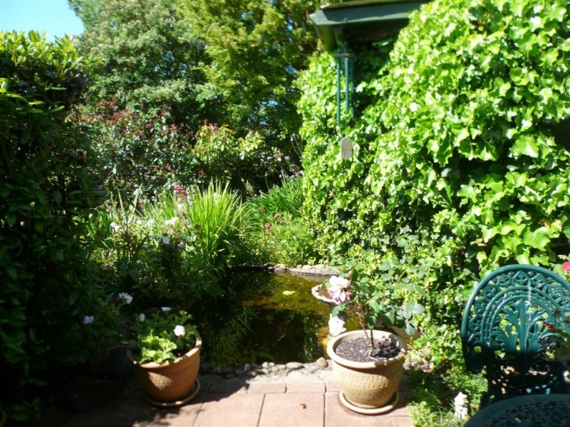 29 Swamp Road, Kindred TAS 7310