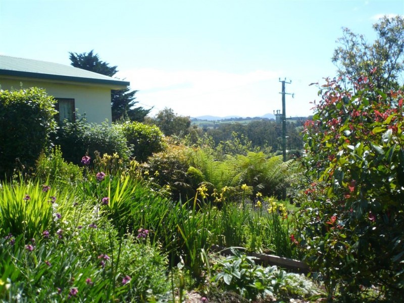 29 Swamp Road, Kindred TAS 7310