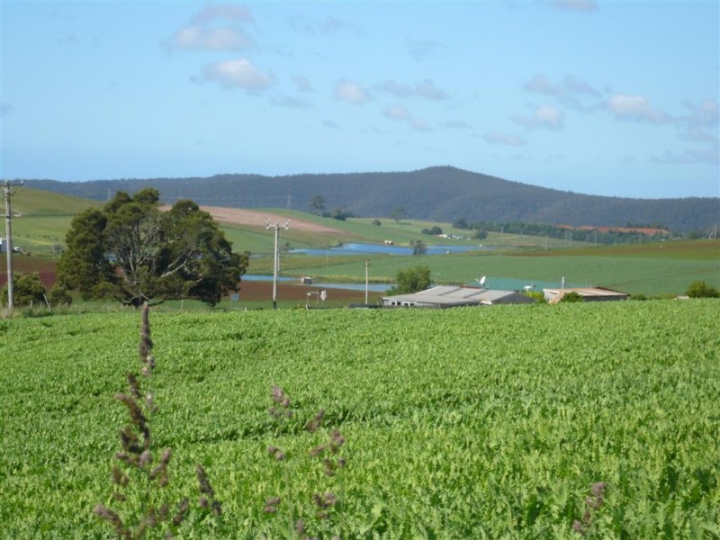 29 Swamp Road, Kindred TAS 7310