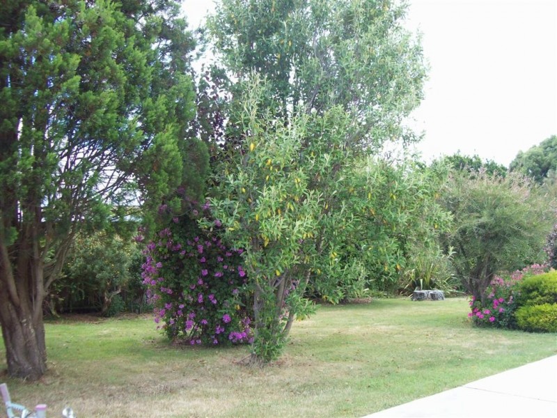 30 South Road, Ulverstone TAS 7315