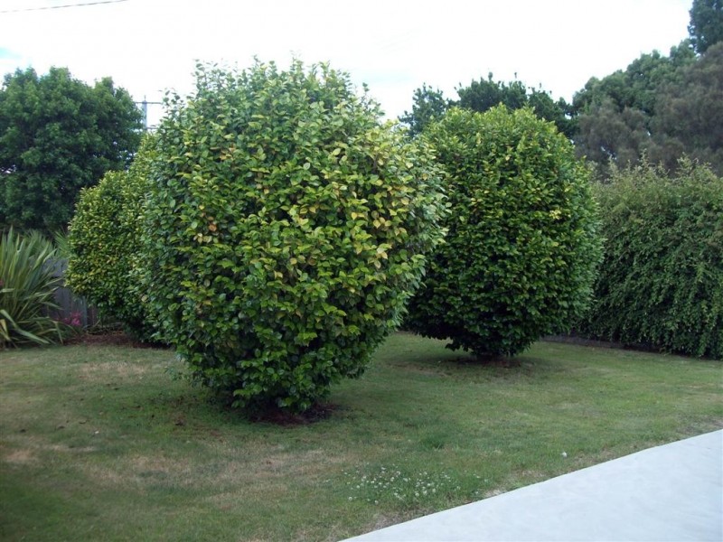 30 South Road, Ulverstone TAS 7315