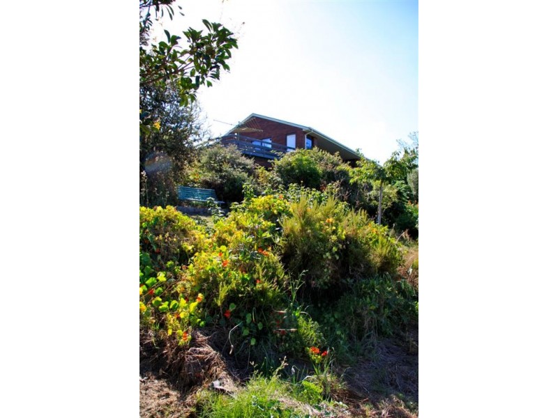 9 Martin Road, Forth TAS 7310