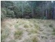 2340 Loongana Road, Loongana TAS 7315