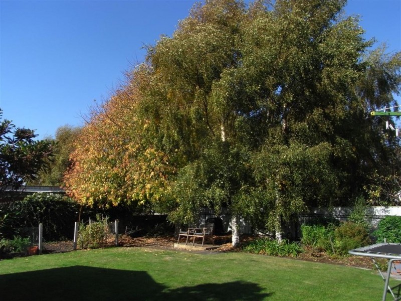 3 Finch Street, Ulverstone TAS 7315