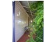 2 Finch Street, Ulverstone TAS 7315