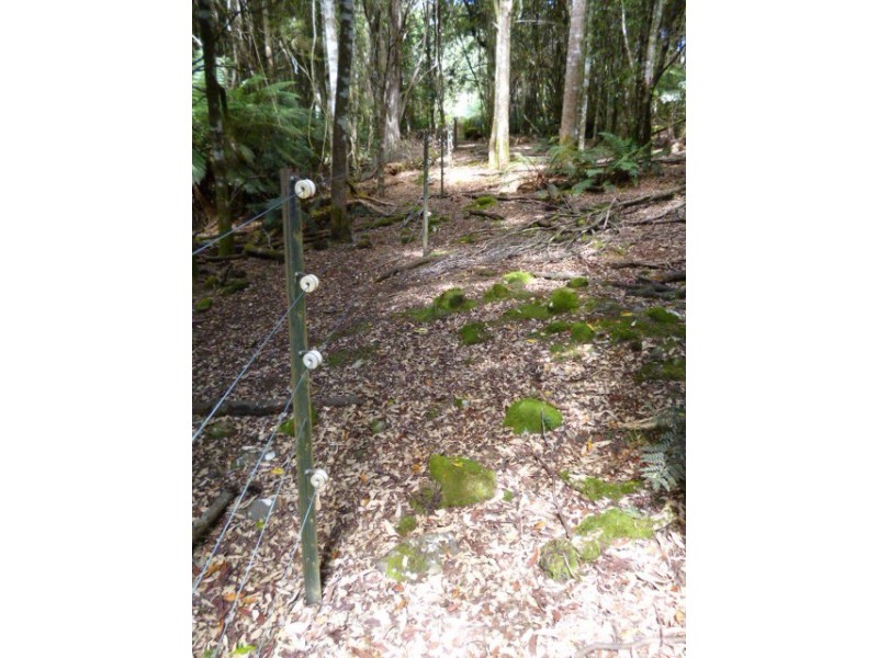 779 Cradle Mountain Road, Erriba TAS 7310