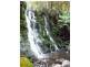 779 Cradle Mountain Road, Erriba TAS 7310