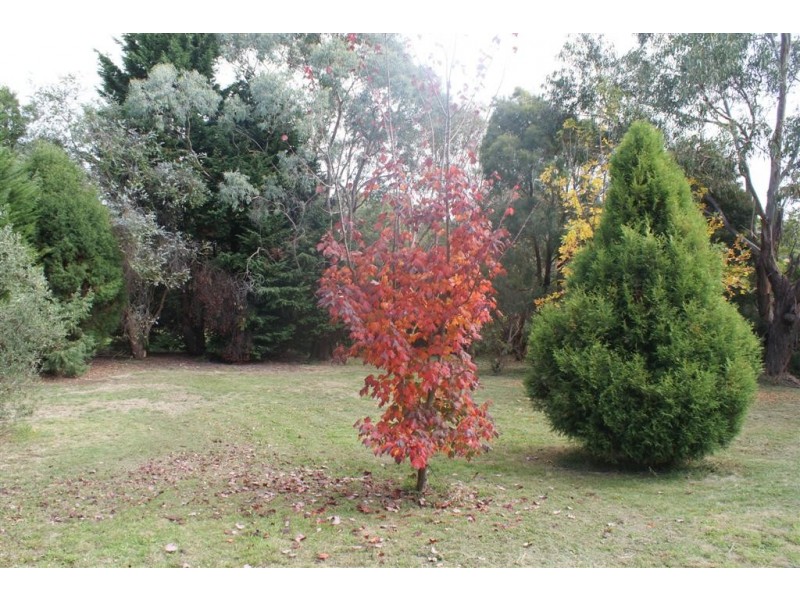 30 Merinda Drive, Ulverstone TAS 7315