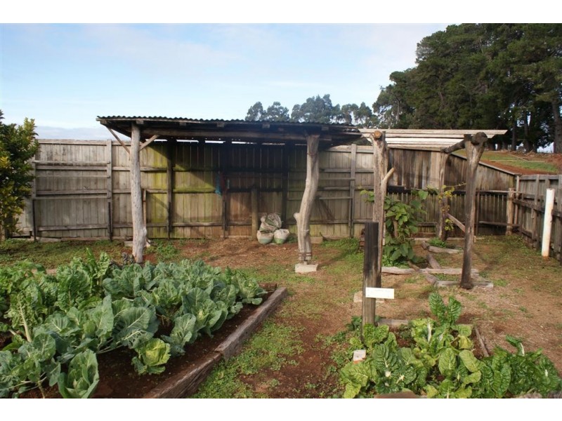 229 Geales Road, Kindred TAS 7310