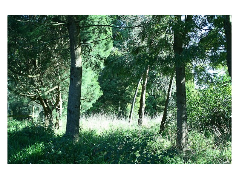 153 West Gawler Road, Gawler TAS 7315