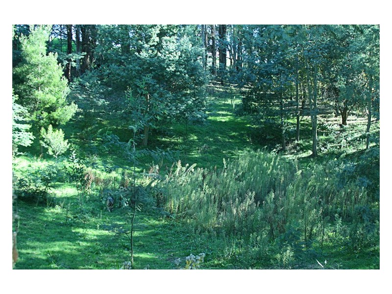 153 West Gawler Road, Gawler TAS 7315