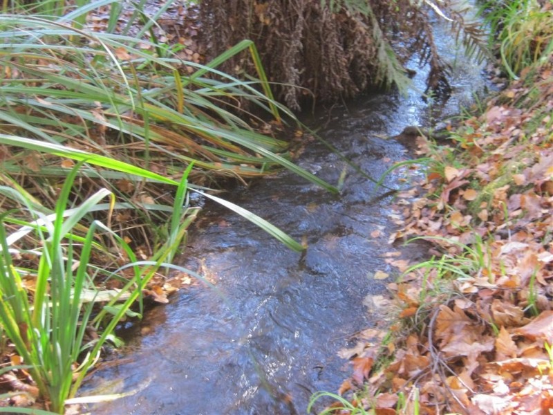 611 Forth Road, Forth TAS 7310