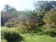 196 Allport Street, Leith TAS 7315
