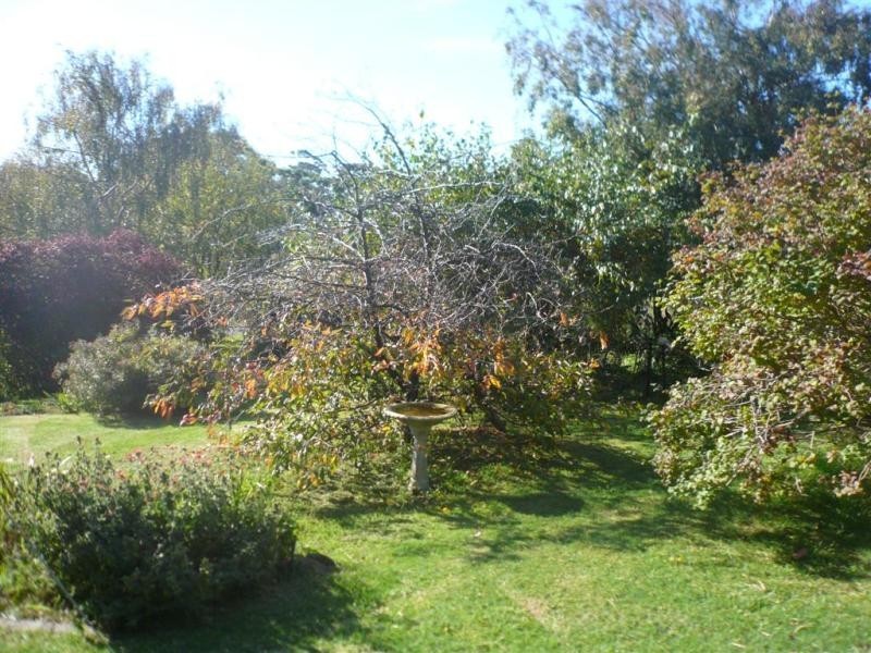 196 Allport Street, Leith TAS 7315