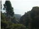 196 Allport Street, Leith TAS 7315