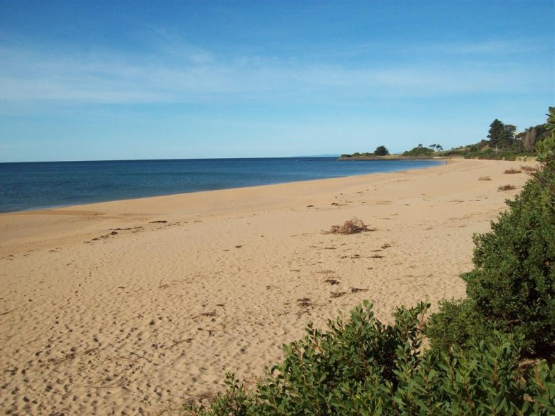 206 Preservation Drive, Sulphur Creek TAS 7316