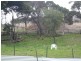 42 William Street, Ulverstone TAS 7315