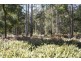 322 Harveys Road, North Motton TAS 7315