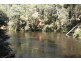 322 Harveys Road, North Motton TAS 7315